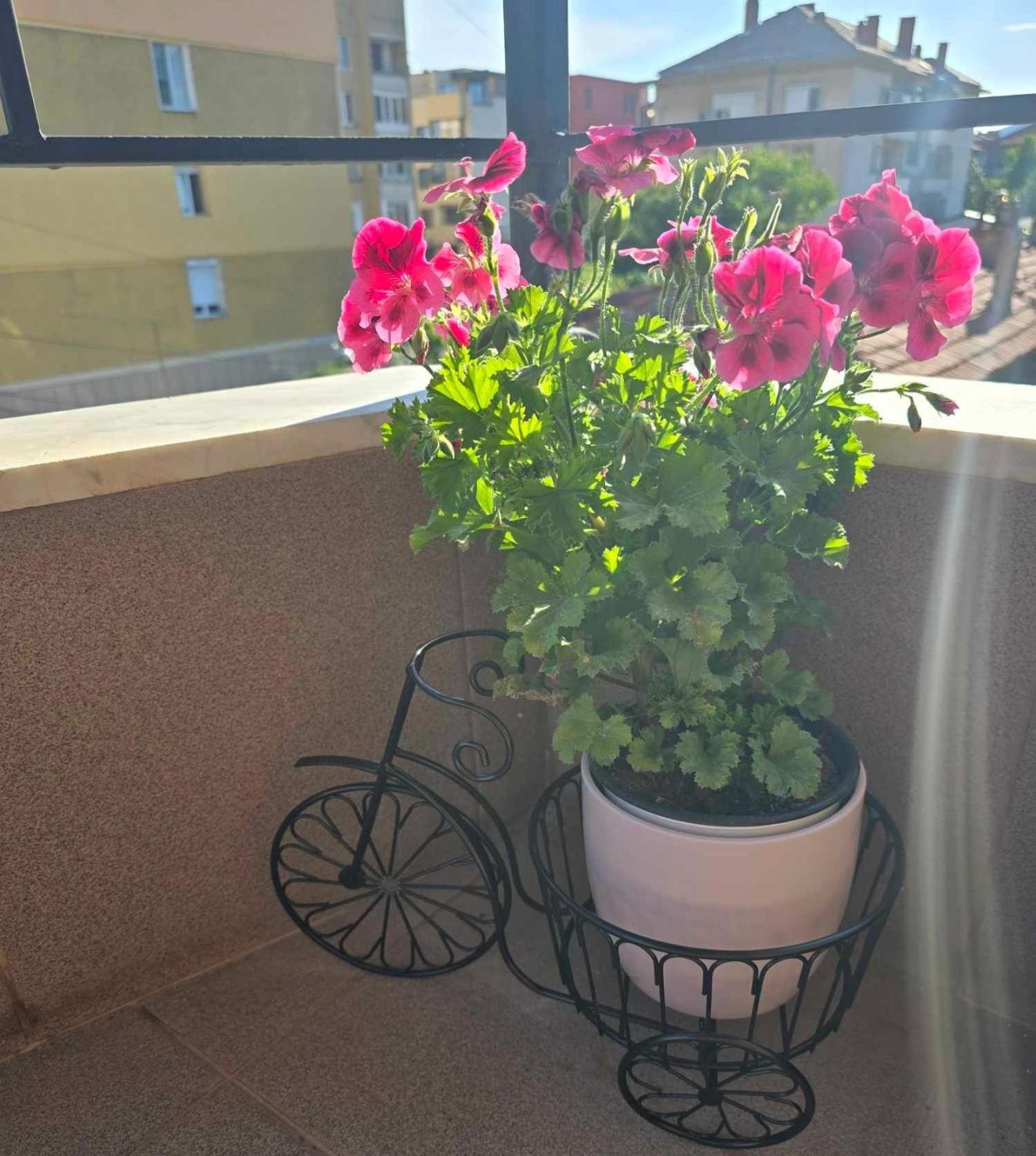 Luxury City Centre Appartment Iva Sliven Εξωτερικό φωτογραφία
